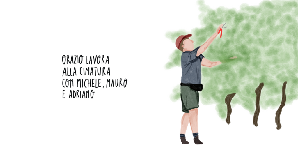 la cimatura del vigneto illustrazione di silviabes