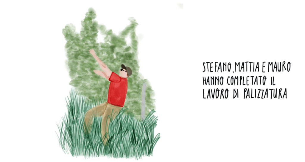 la palizzatura del vigneto illustrazione di silviabes